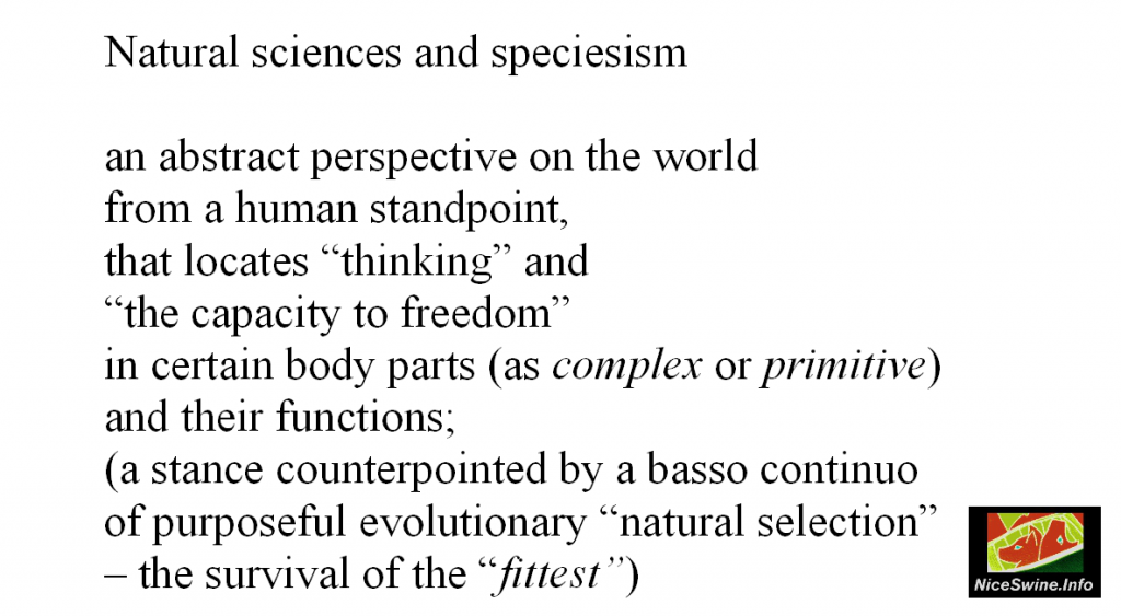 A preliminary fragmental list on: Speciesism and Animal Hatred | Nice Swine